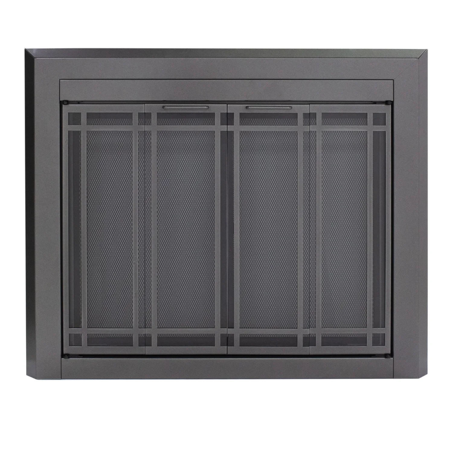 Pleasant Hearth Ellis fireplace glass door